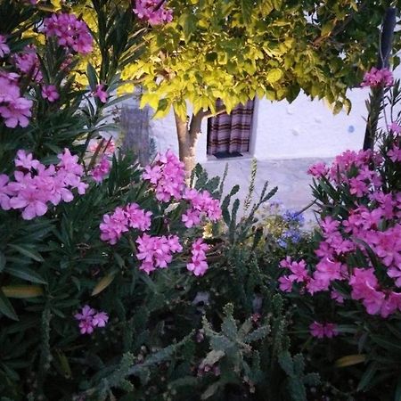 Cuevas Los Coloraos - La Residencia Villanueva de las Torres Luaran gambar